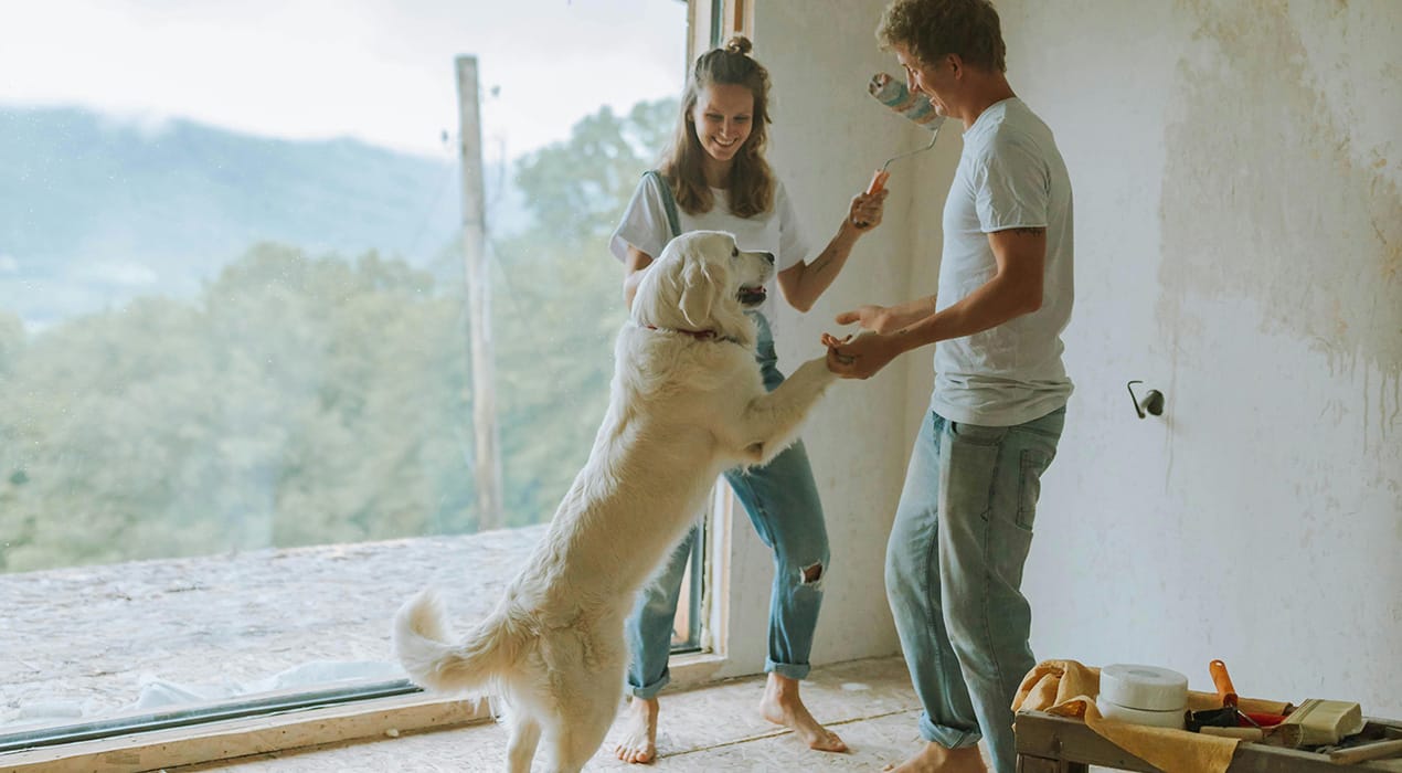Young couple renovating a room, and playing with their dog